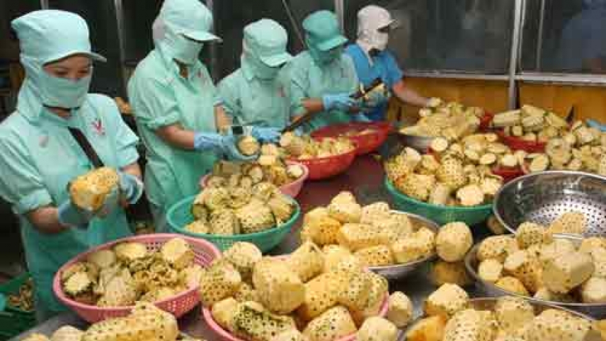 Export growth 50% of target