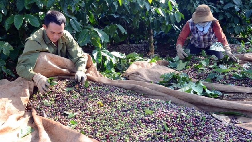 Technology can raise quality of agricultural products 