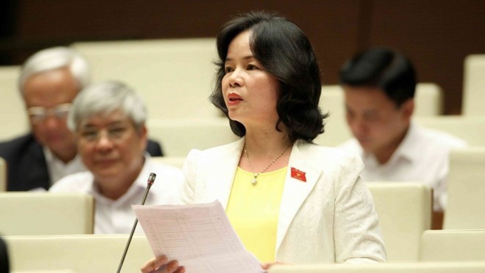 14th NA discusses revised Law on Education