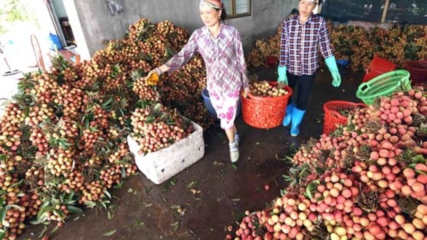 Irradiation facilities benefit fruit exporters