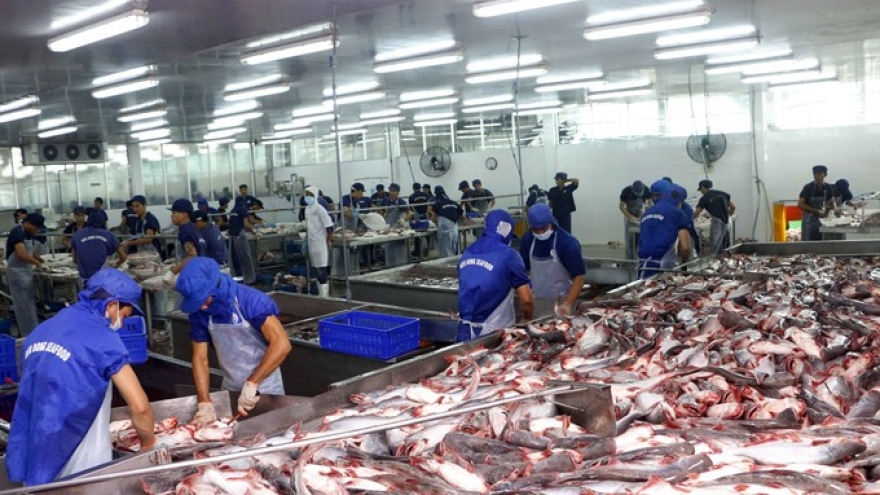 Tra fish industry facing dangerous situation, warn experts 