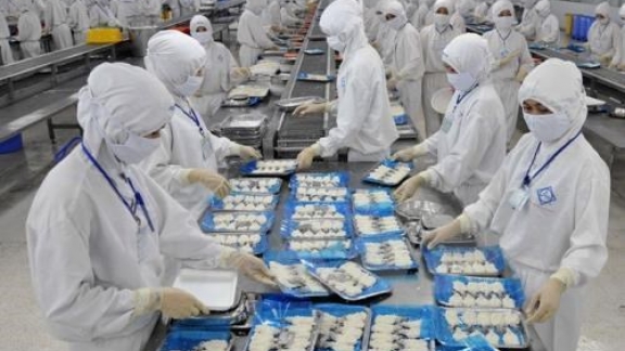 Grasping rules of origin helps enterprises boost exports: experts