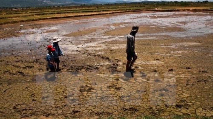 Netherlands to help Vietnam in water management