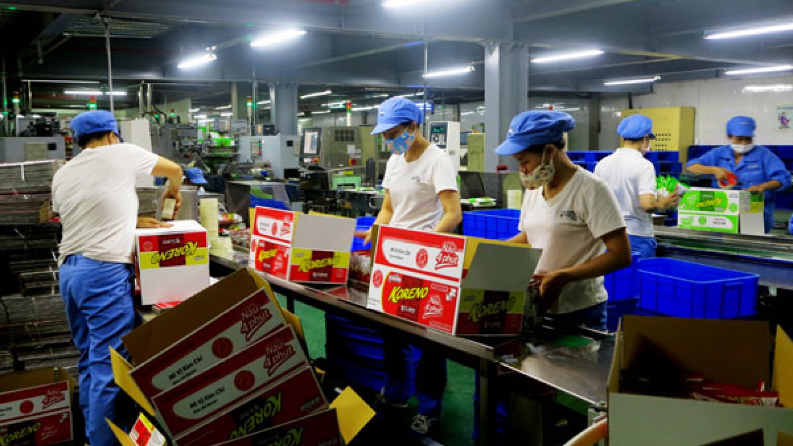 Phu Tho boosts agriculture production