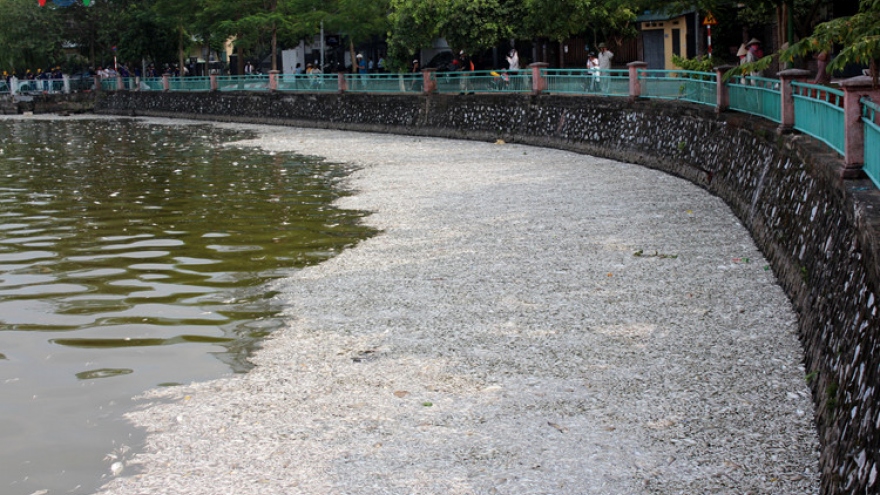 Thousands of dead fish wash up on shore in Hanoi