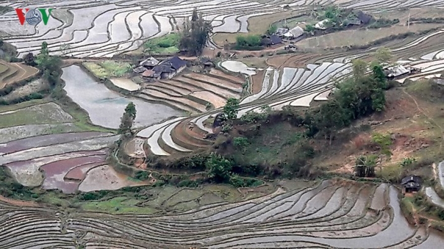 Stunning terraced fields on Pu Ta Leng mountain
