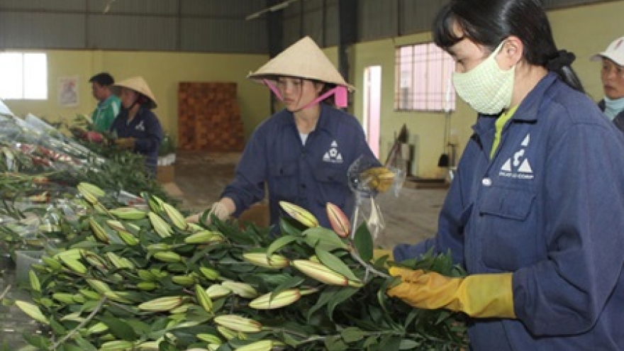 Flower industry needs tech growth