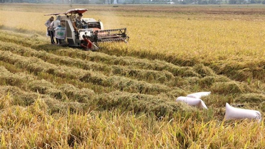 Clean rice processing cuts costs, emissions