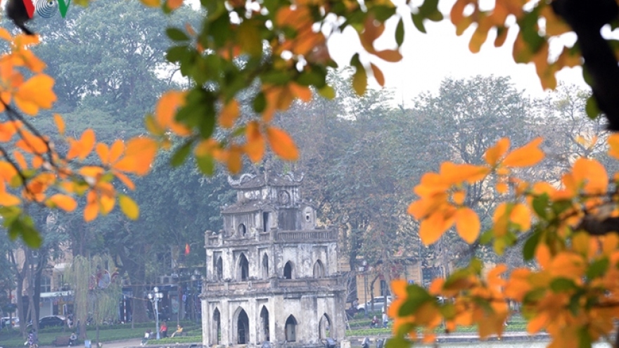 Red orange colour of foliage around Hoan Kiem lake 