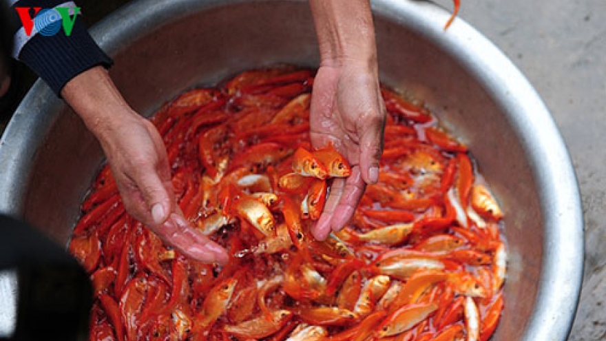 Red carp village earns big during Kitchen Gods fest