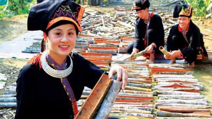 Cinnamon growing helps reduce poverty in Yen Bai province