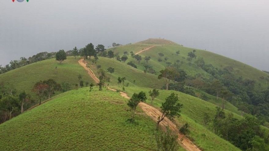 Stunning Ta Nang-Phan Dung trekking route a popular summer adventure