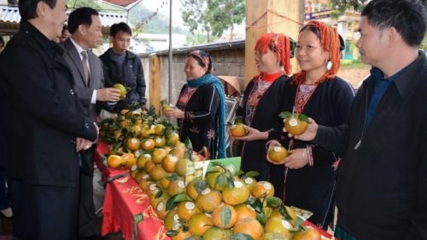 Luc Yen orange awarded collective trademark