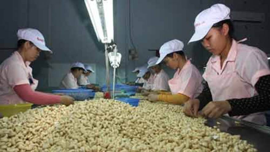 Ivory Coast, Vietnam discuss cashew trade