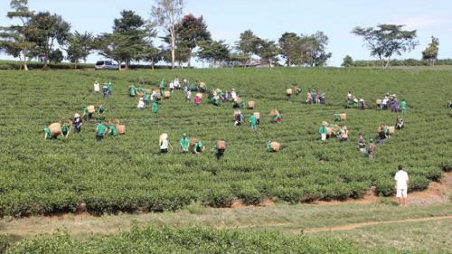 
        Vocational training strengthened for rural labourers
                              