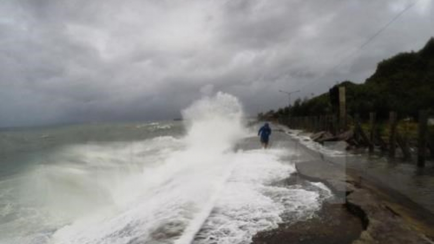 Vietnam helps regional countries prevent natural disasters