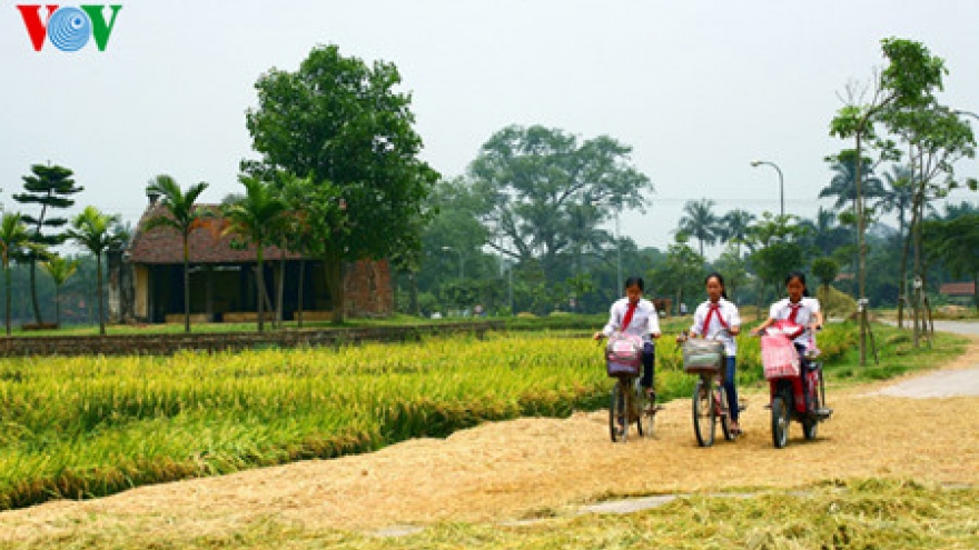 The organization of a typical Viet village