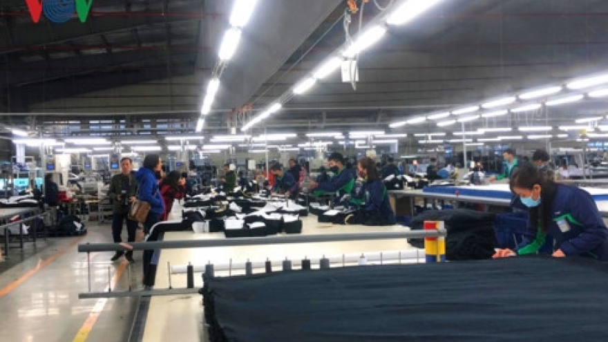 
        Vietnam’s economic growth signals positive in 2019
                              