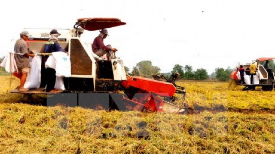 Kien Giang: WB-funded project helps change old farming practices