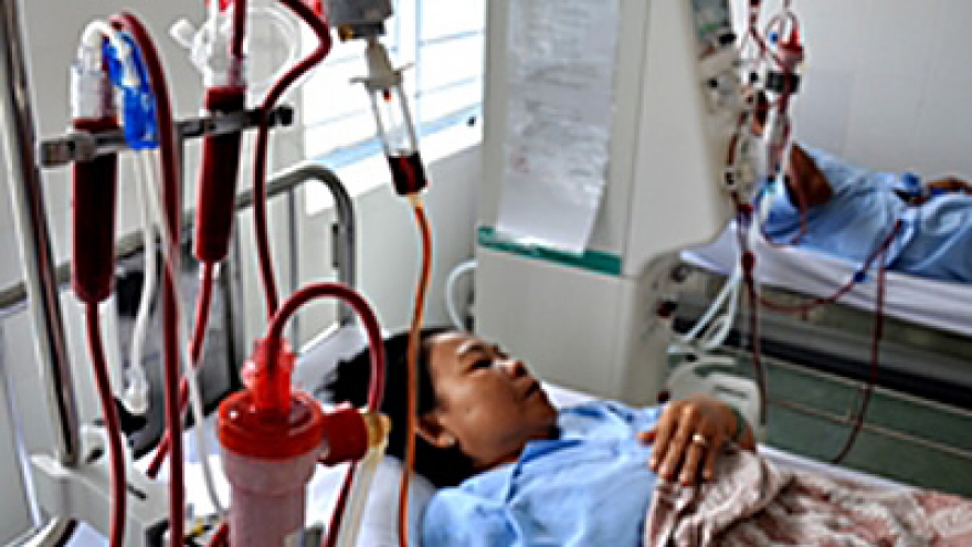 B.Braun eyes Hanoi dialysis centre project