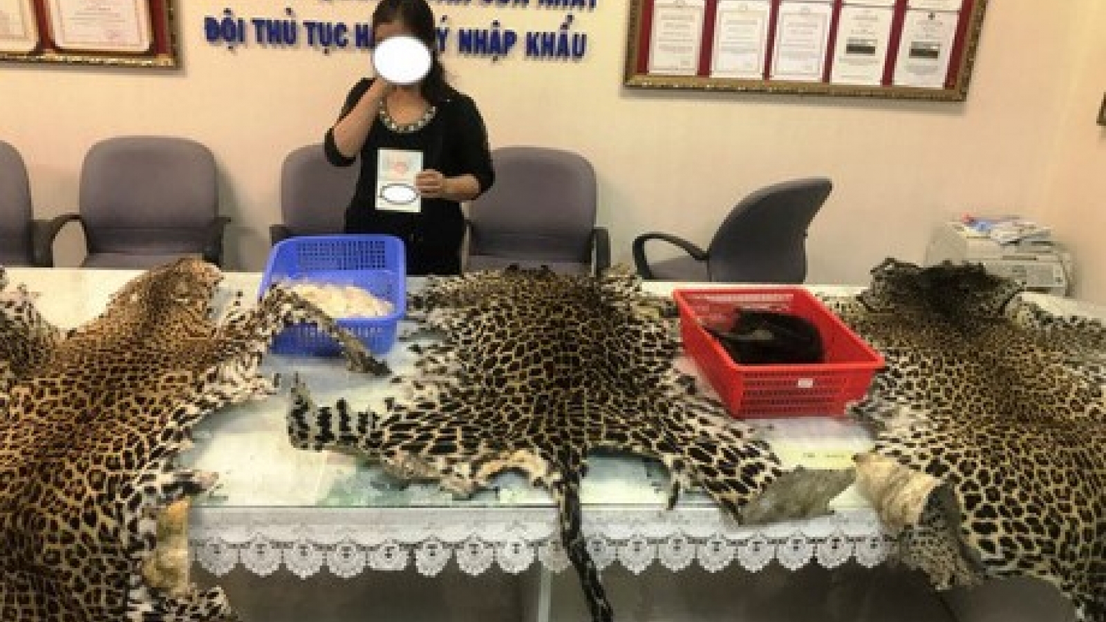 Wildlife products seized at Tan Son Nhat Airport