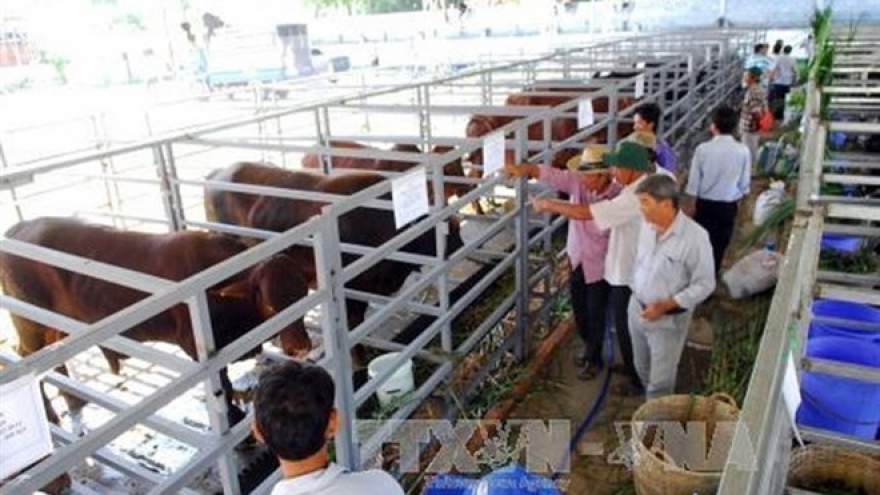 HCM City's leader urges higher status for agriculture