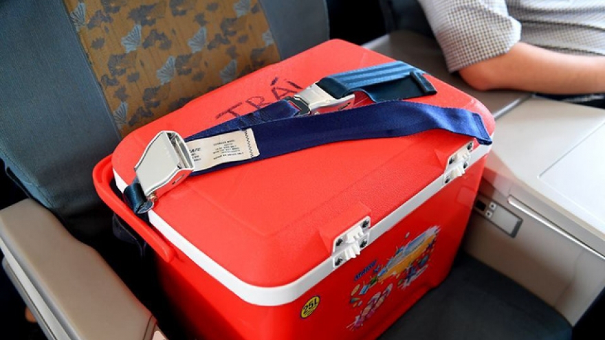 ​Vietnamese flight ‘deliberately delayed’ to wait for donated heart