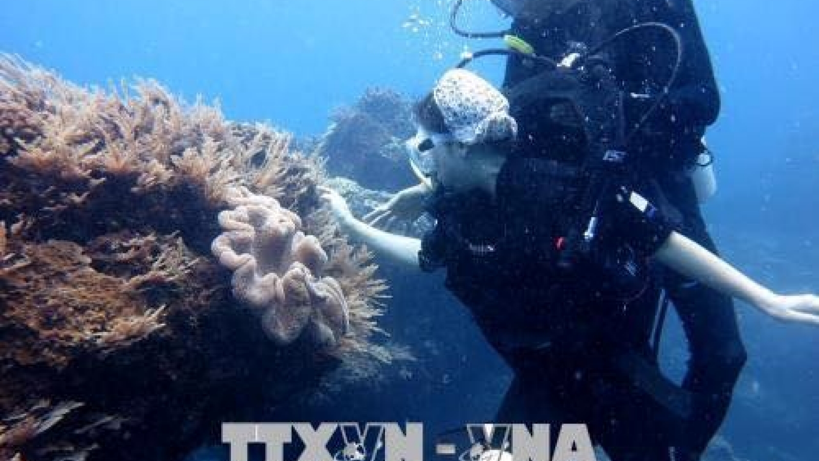 Vietnam boasts diversified marine resources