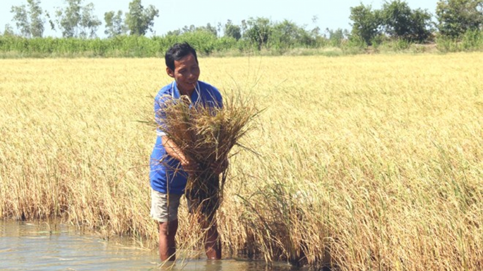 Localities continue to take measures against drought
