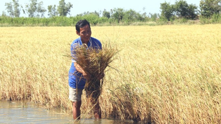 Localities continue to take measures against drought