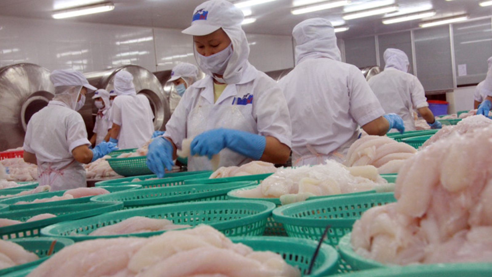 Vietnam copes with free, fair trade and anti-dumping