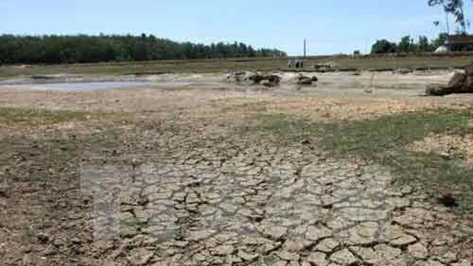 Workshop on climate change opens in Can Tho