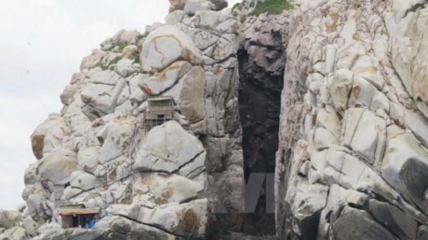 Salangane Nest Festival returns to Khanh Hoa