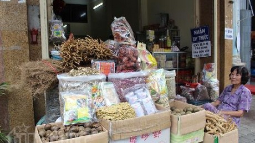 HCM City: More exclusive streets for tourism coming