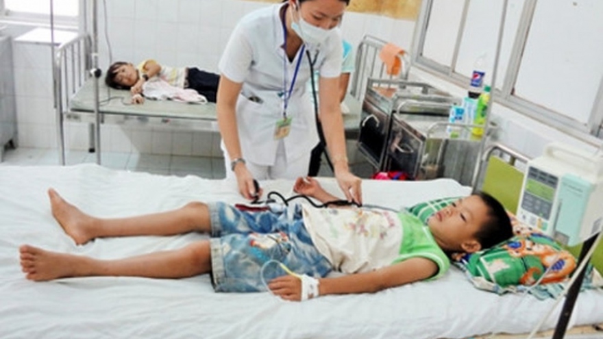 Sharp rise in dengue fever cases in Ba Ria Vung Tau