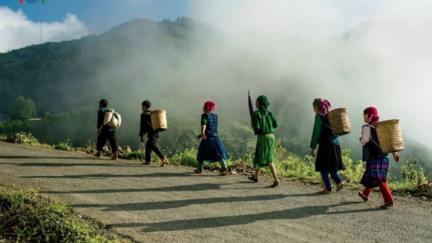 
        Life of indigenous people in Dong Van Karst Plateau
                          
                      