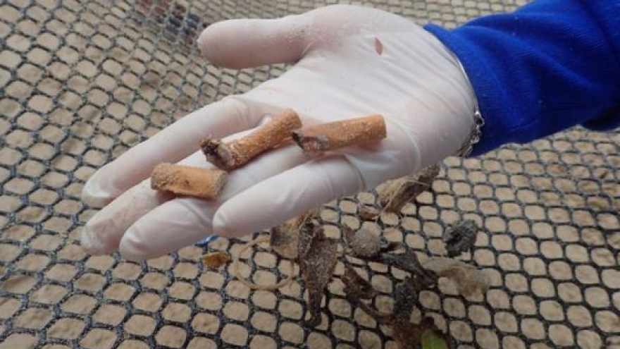 Smoking ban on 24 beaches in 15 provinces