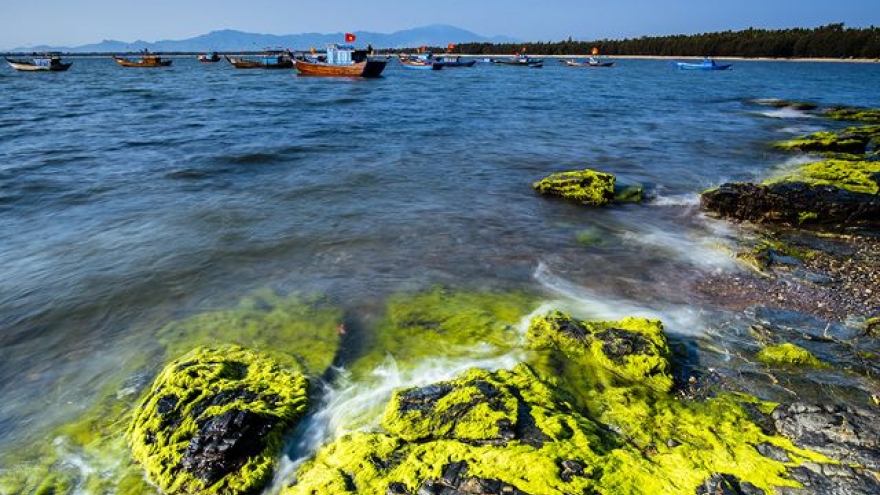 Discovering Ban Than reef in Tam Hai island
