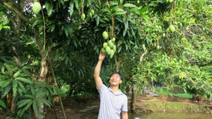 Increasing the value of Vietnam’s fruit specialties