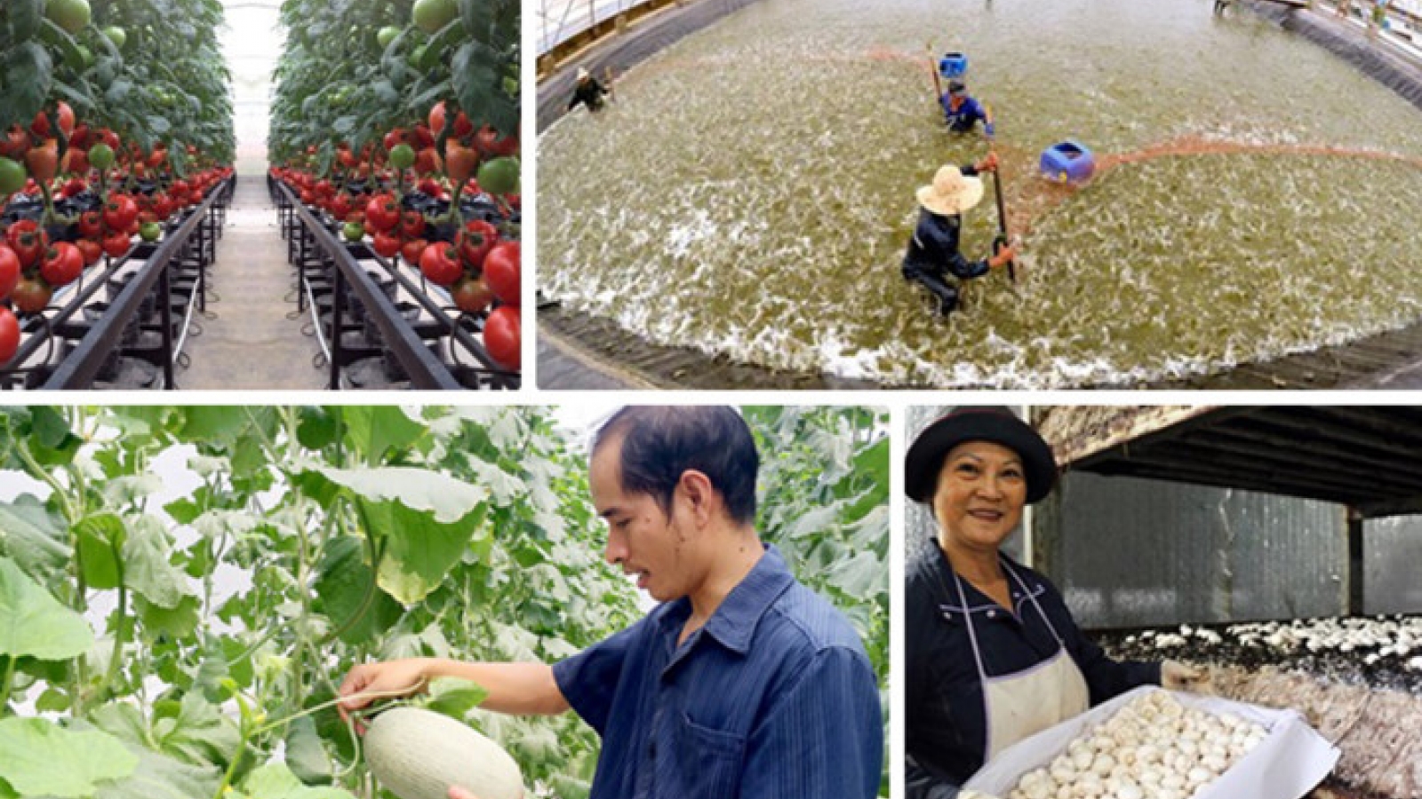 Farmers finding ways to make agriculture more sustainable