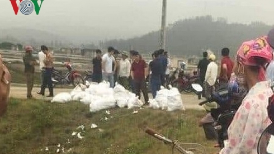 In photos: 700 kg of crystal meth seized in Nghe An