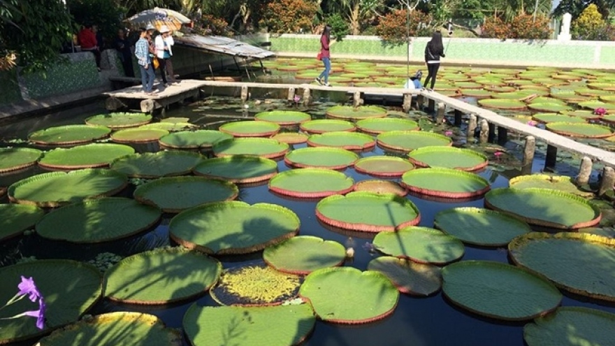 King Lotus Pagoda, top destination in western region