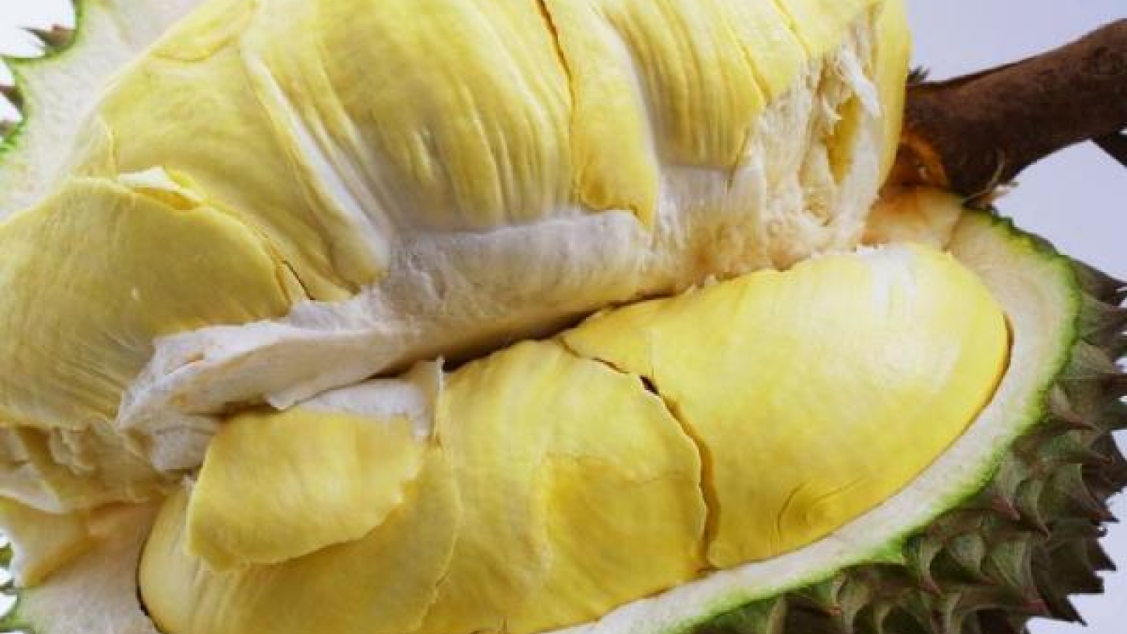 Promoting fruit quality in eastern provinces