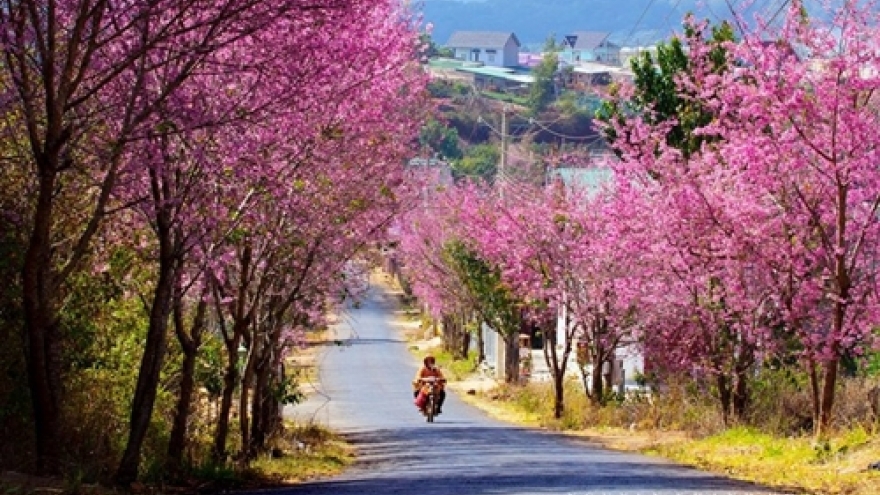 5 best places to spend New Year holidays in Vietnam