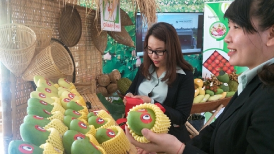 Vietnamese farm produce makes inroads into foreign markets 