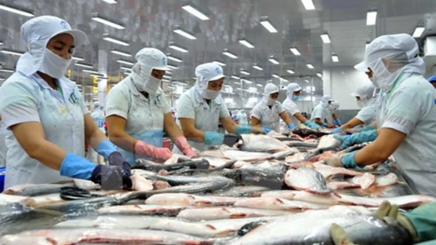 Catfish exports now face tougher US inspections 