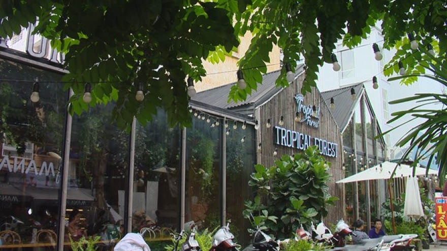 Tropical forest coffee in Hanoi attracts young