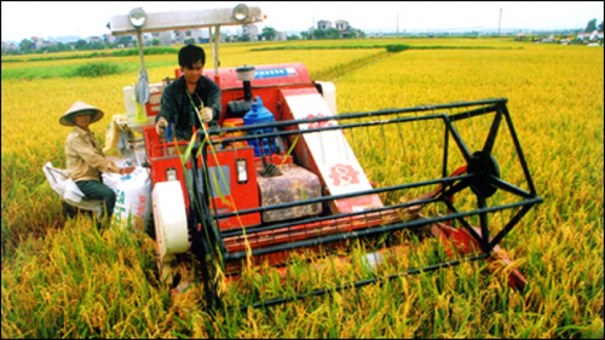 Agriculture seeks to gain growth momentum
