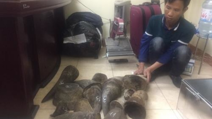 Vietnam busts major wildlife trafficking ring
