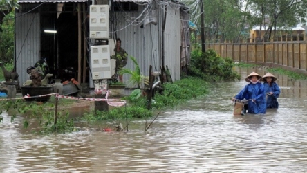 Over VND45.9 billion raised to support central flood victims